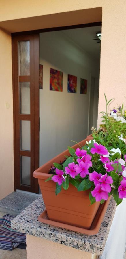 Apartmani Zem, Krk Krk Town Extérieur photo